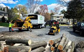 Best Storm Damage Tree Cleanup  in Ohioville, PA