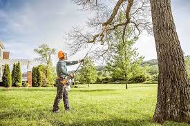 Best Stump Grinding and Removal  in Ohioville, PA