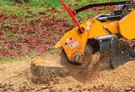 Best Lawn Watering Services  in Ohioville, PA