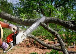Best Lawn Pest Prevention  in Ohioville, PA